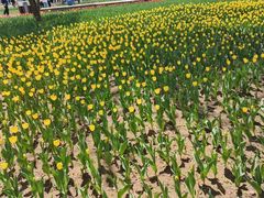 -长春公园(普阳街道)