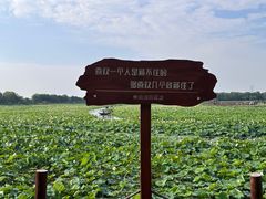 -焦岗湖旅游度假区