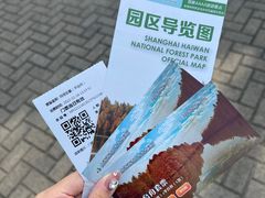 -上海海湾国家森林公园