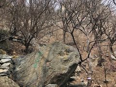 -北京鹫峰国家森林公园