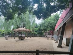-郑州市动物园