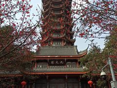-塔子山公园