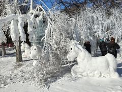 -沈阳奥体冰雪嘉年华