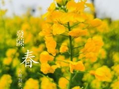 -三叠泉瀑布