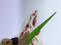 -Salud撒露欧洲冻酸奶(蓝色港湾店)