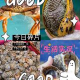 三亚美食|国庆假期首选宝藏🦞海鲜大排档