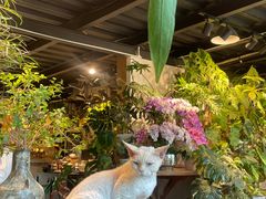 -自由生长植物工作室(深港花卉中心店)
