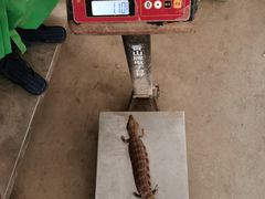 -爱诺耐芙动物医院(万博店)