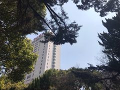 -复旦大学附属华山医院(总院)