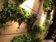 -威尔仕健身·游泳(中港汇店)