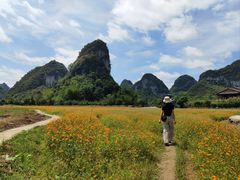 -靖西鹅泉风景区