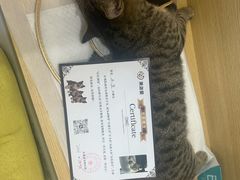 -美迦爱-牙专科·兔科·骨科诊疗中心(北苑店)