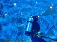 -横店影视城梦幻谷园区