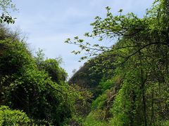 -大岭沟猕猴桃谷风景区