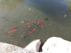 -西安曲江寒窑遗址公园