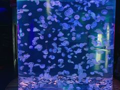 -多彩贵州城极地海洋世界