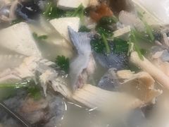 -京北渔家傲