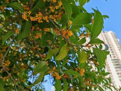 -苏州河梦清园环保主题公园