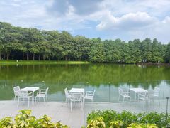 -中国科学院华南植物园