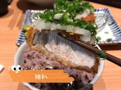 -堂本家洋食别馆·炸猪排(中心城店)