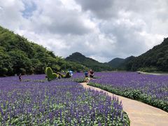 -广州市石门国家森林公园