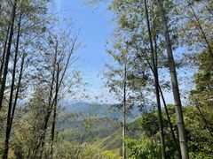 -莫干山风景区