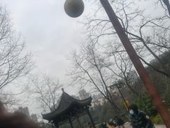 -重庆彩云湖湿地公园
