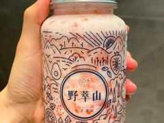 -野萃山·潮汕厚果汁(十亩地店)