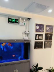 -海涛医疗美容·面部抗衰·注射美鼻