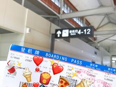 -丽江三义国际机场