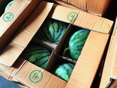 -南京众彩农副产品配送有限公司