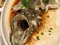 -金满楼(天河中路店)