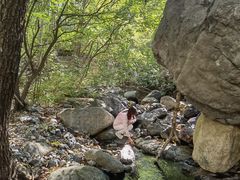 -云岫谷游猎自然风景区