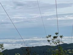 -武陵山森林公园