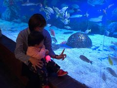 -成都浩海立方海洋公园