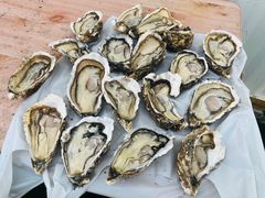 -海韵乐宿露营民宿