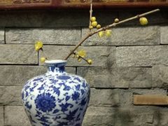 -秀丽东方