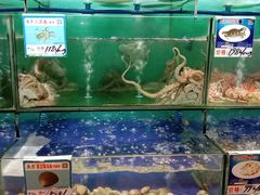 水产区-南海渔家•海鲜•正宗海南菜(海棠湾店)