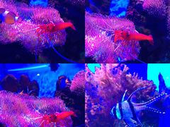 -多彩贵州城极地海洋世界