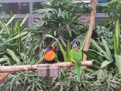 -南宫五洲植物乐园