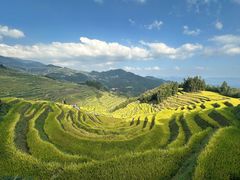 -紫鹊界梯田景区