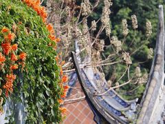 -乌山风景区