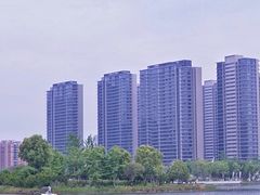 -金沙湖公园