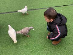 -黄龙溪欢乐田园