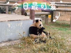 -杭州野生动物世界