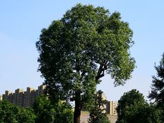 -杭州城北体育公园