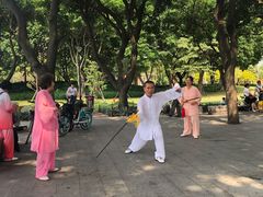 -文华公园(禅城区)