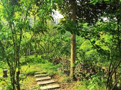 -樱桃山旅游景区