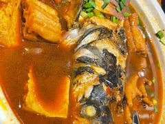 乾隆鱼头-新白鹿餐厅(爱琴海购物中心店)