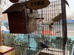 -玉桥餐厅(天坛店)